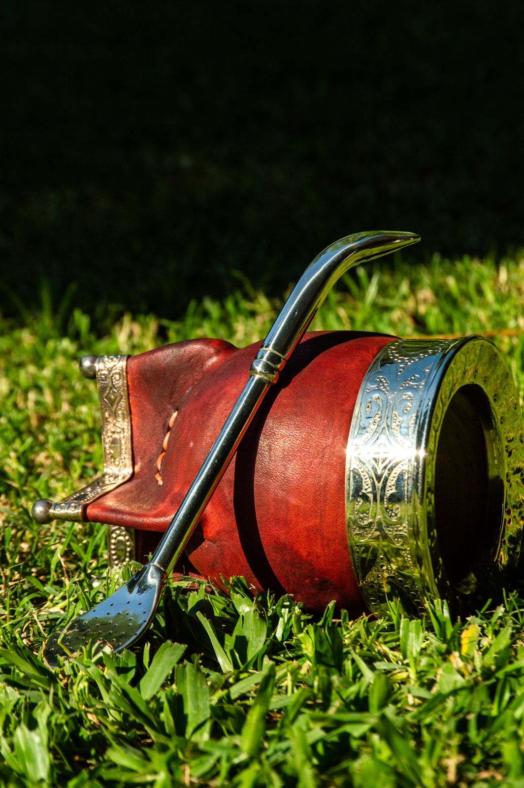 Bombilla de Alpaca Pico de Loro Premium